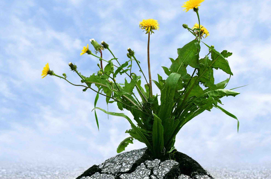 Eight Essentials When Forgiving
