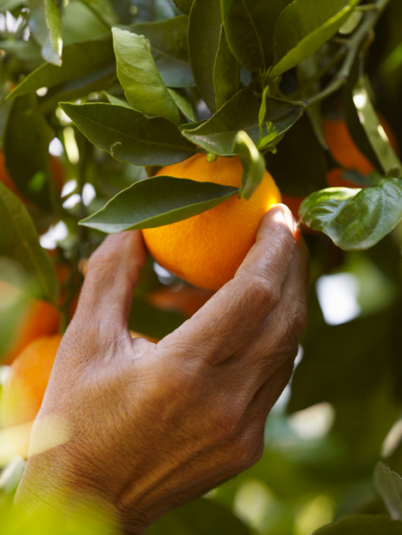 Mental Subtraction of Relationships