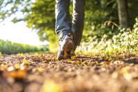 Savoring Walk